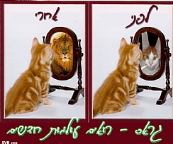 חתול תעלול חמוד